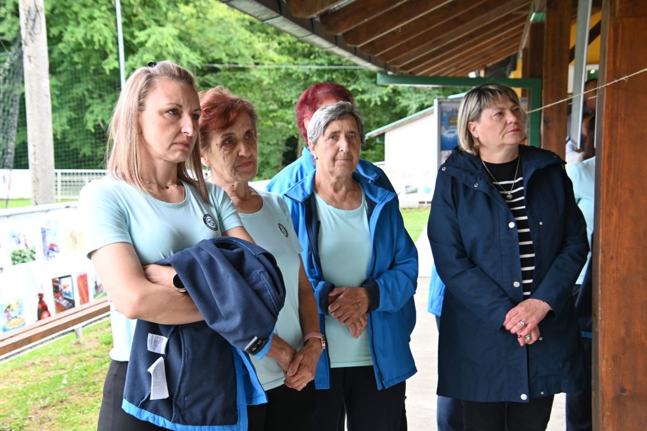 memorijalna izložba Damira Novaka (12)