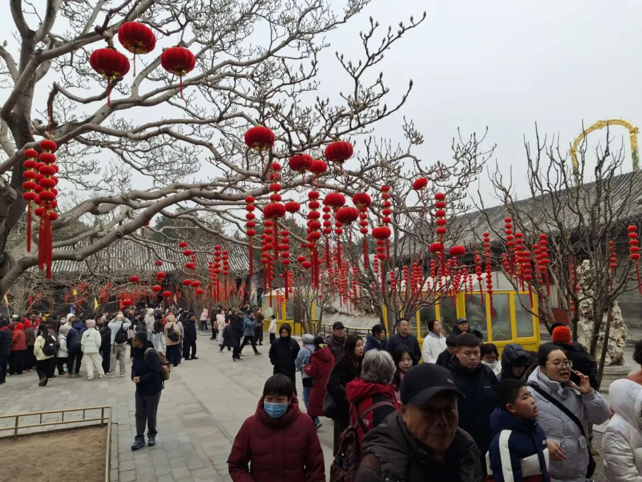 miljenko milović 10 PEK miljenko milović 10 PEK