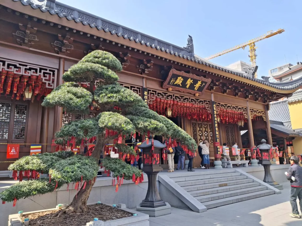 miljenko milović 31 SHANG miljenko milović 31 SHANG