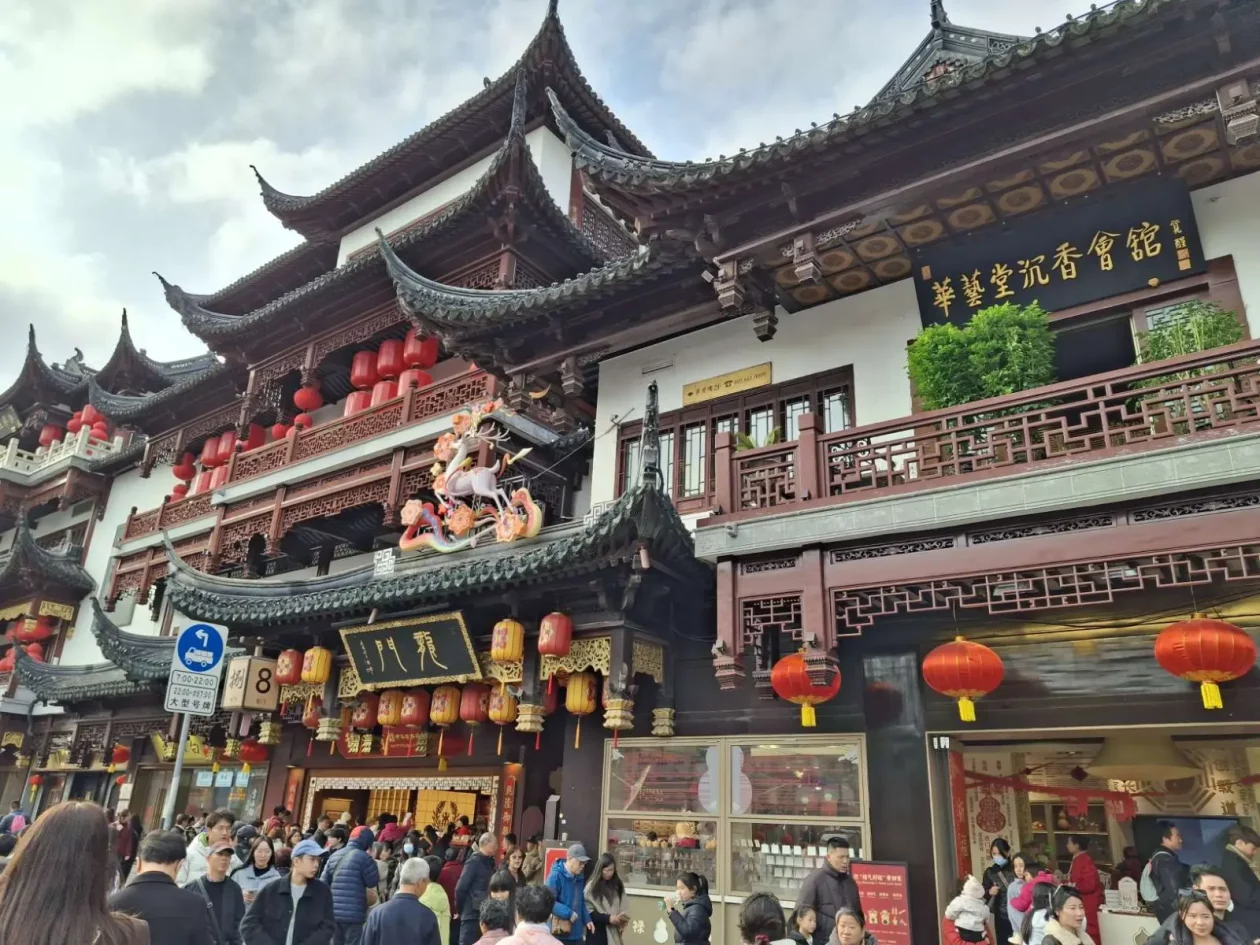 miljenko milović 35 SHANG miljenko milović 35 SHANG