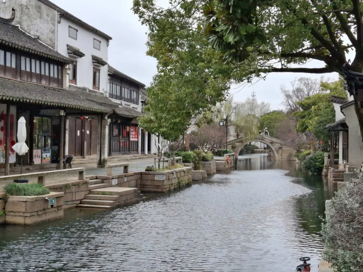 miljenko milović 41 LIL miljenko milović 41 LIL