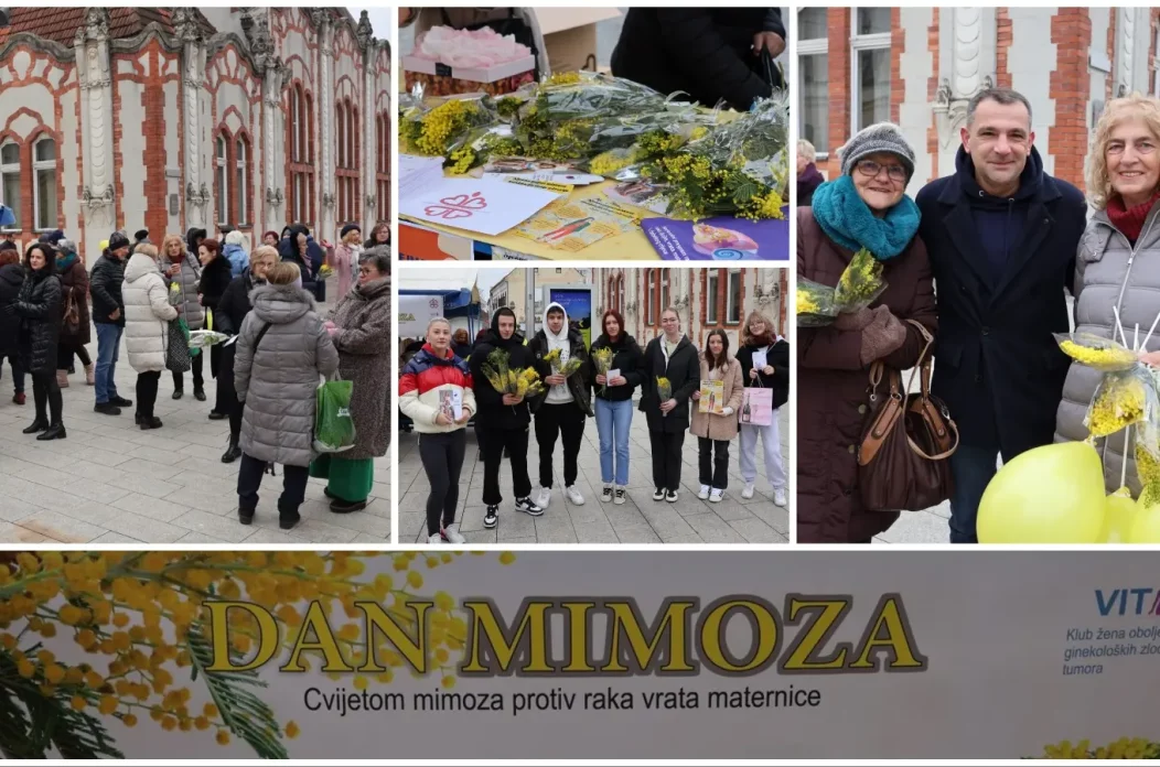 mimoze Čakovec, Dan mimoza 2025 (10)