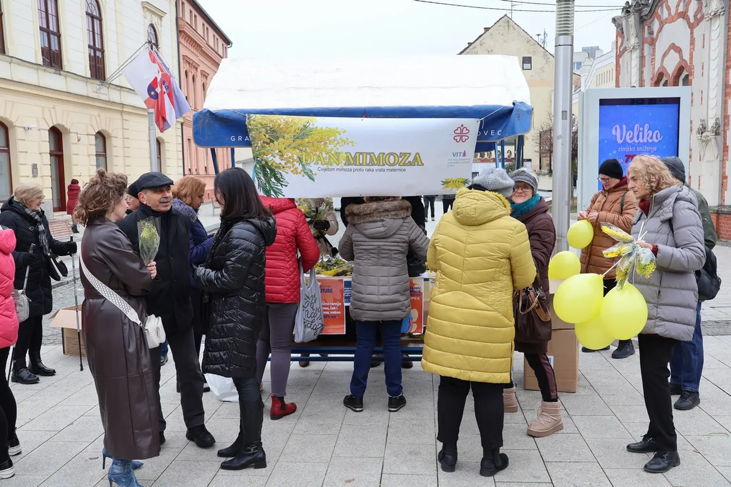 mimoze Čakovec, Dan mimoza 2025 (15)