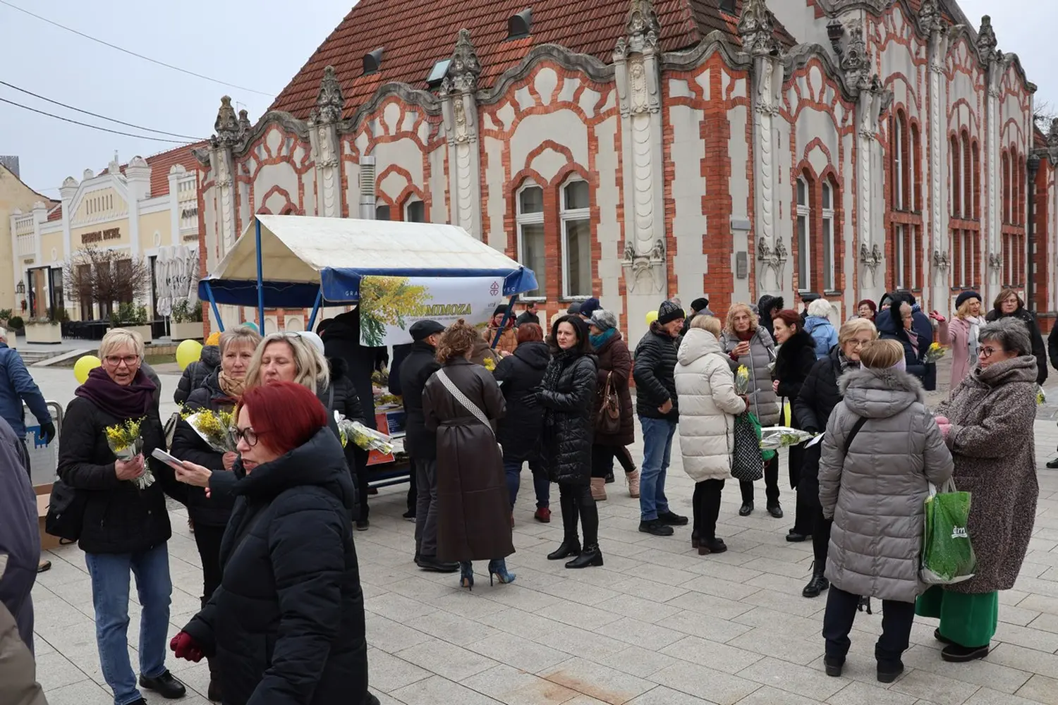 mimoze Čakovec, Dan mimoza 2025 (16)