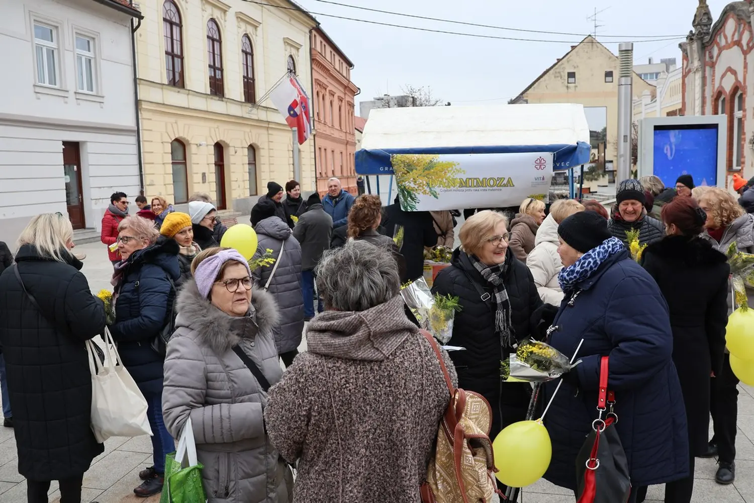 mimoze Čakovec, Dan mimoza 2025 (17)