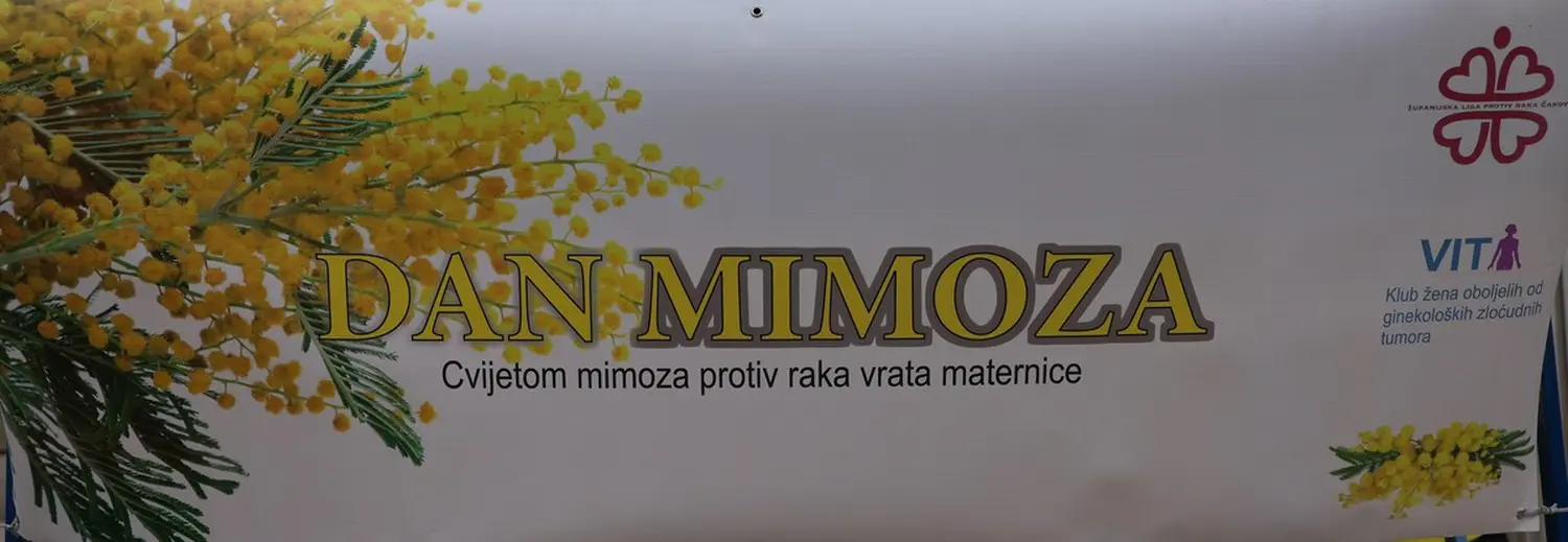 mimoze Čakovec, Dan mimoza 2025 (4)