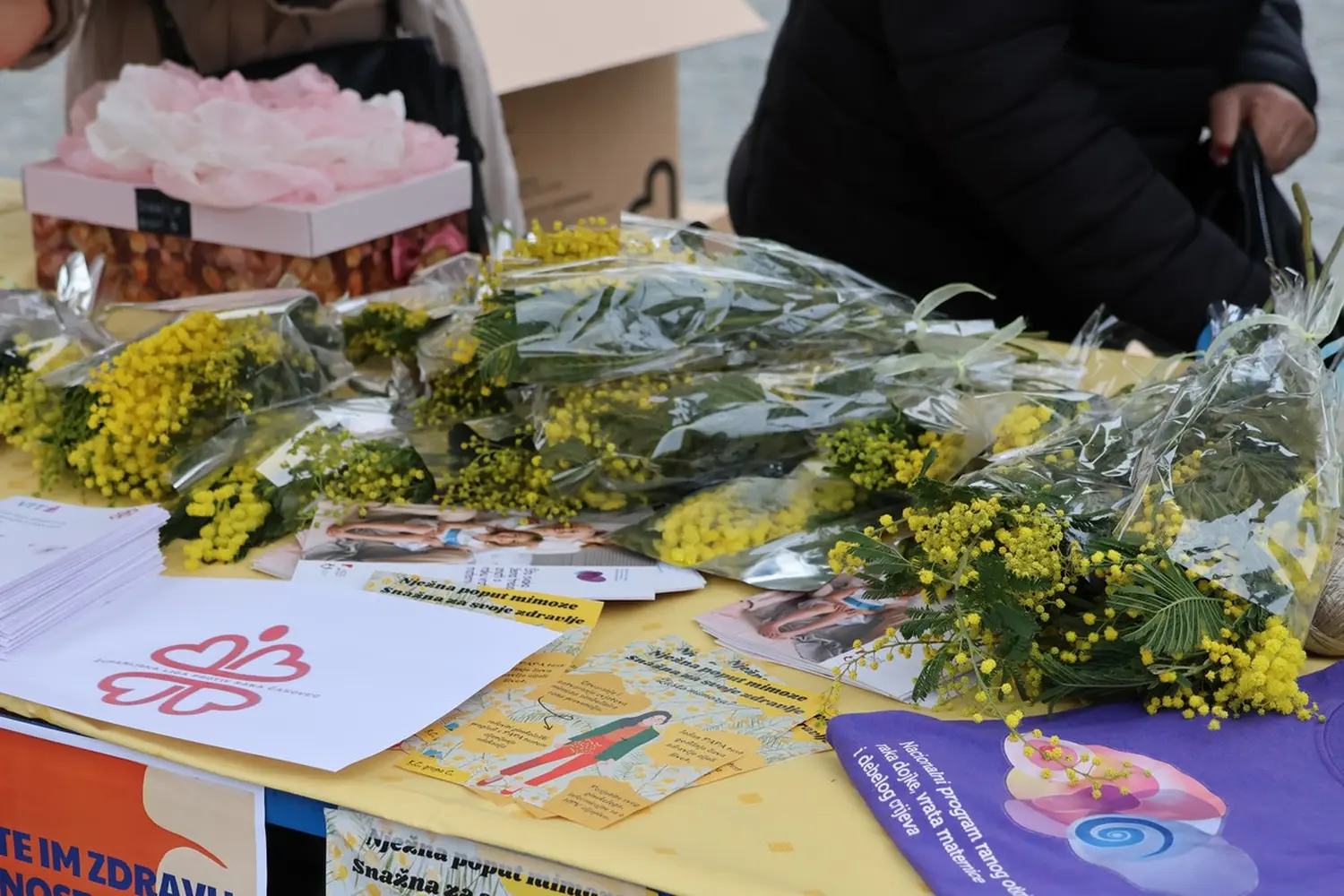 mimoze Čakovec, Dan mimoza 2025 (6)