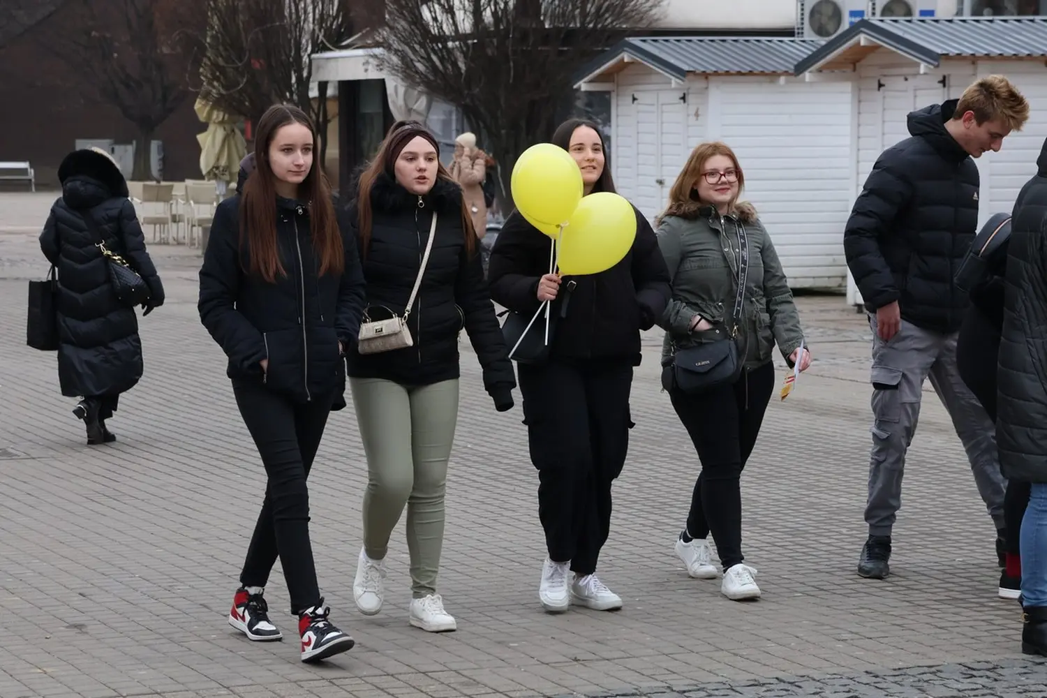 mimoze Čakovec, Dan mimoza 2025 (8)