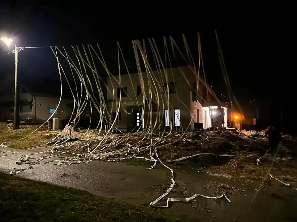 mladenci, adriana i saša (4) mladenci, adriana i saša (4)