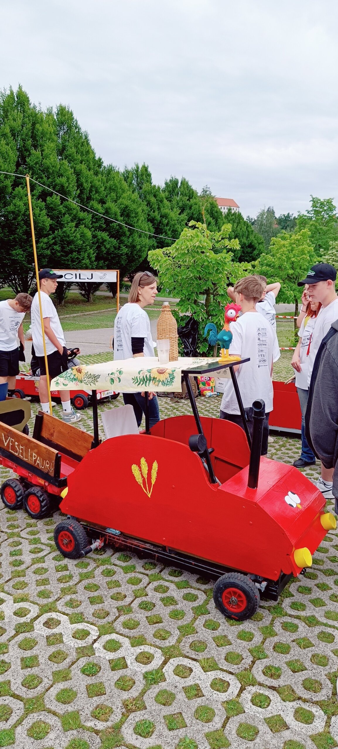 mladi tehničar oš domašinec (17)