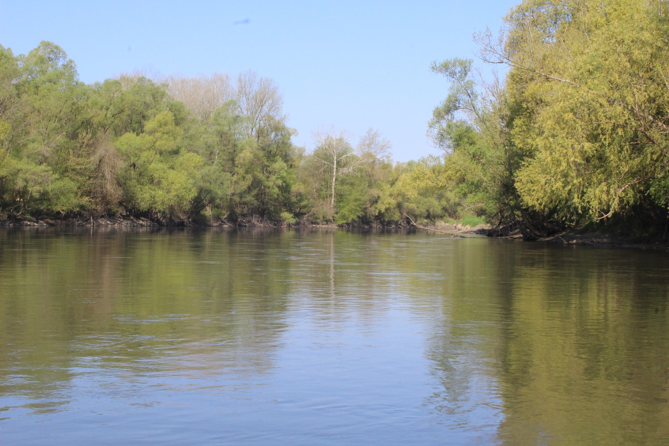 mnk mura kotoriba spust murom (10) mnk mura kotoriba spust murom (10)