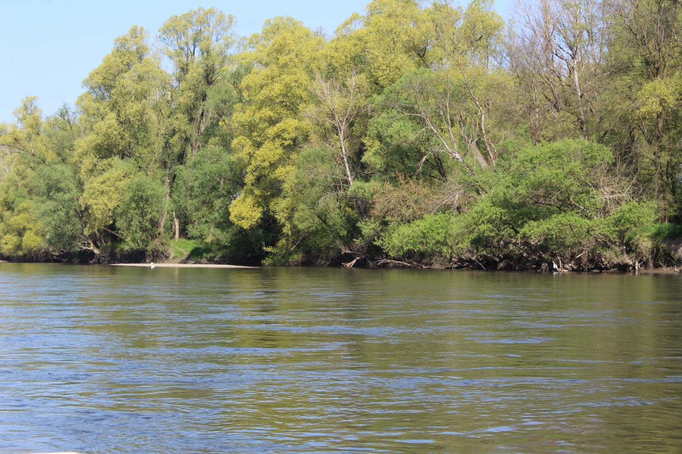 mnk mura kotoriba spust murom (23) mnk mura kotoriba spust murom (23)