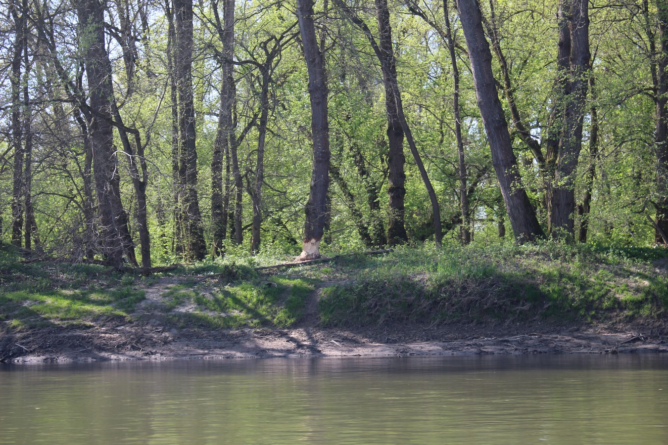 mnk mura kotoriba spust murom (25) mnk mura kotoriba spust murom (25)