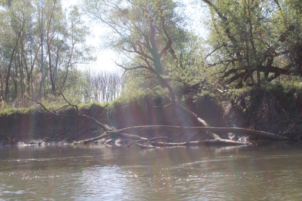 mnk mura kotoriba spust murom (29)