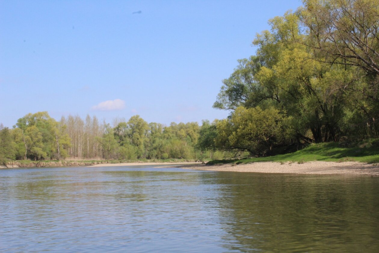 mnk mura kotoriba spust murom (30)