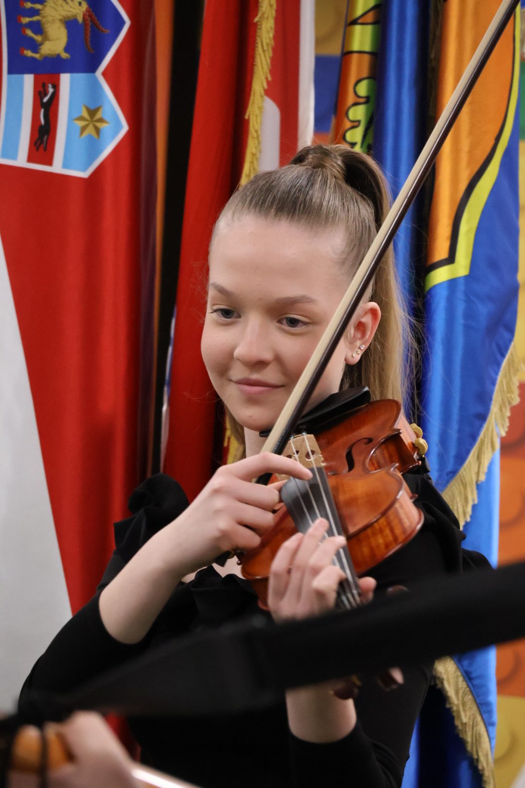 monografija Donja Dubrava 2026 (13) monografija Donja Dubrava 2026 (13)