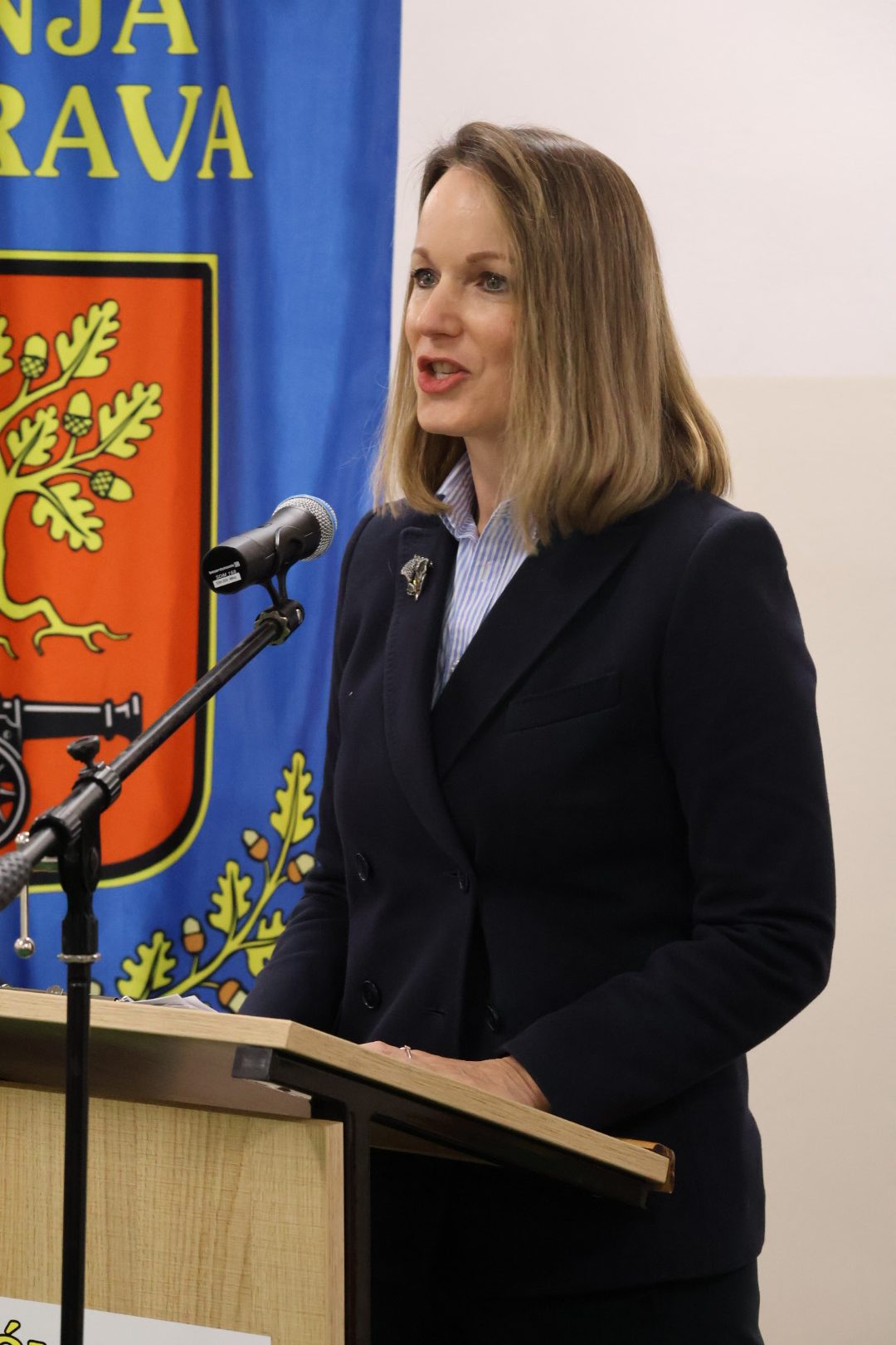 monografija Donja Dubrava 2026 (55) monografija Donja Dubrava 2026 (55)