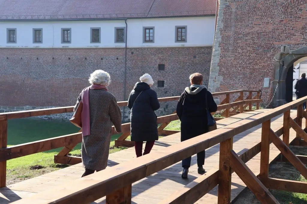 most ane katarine zrinski MŽ (20)