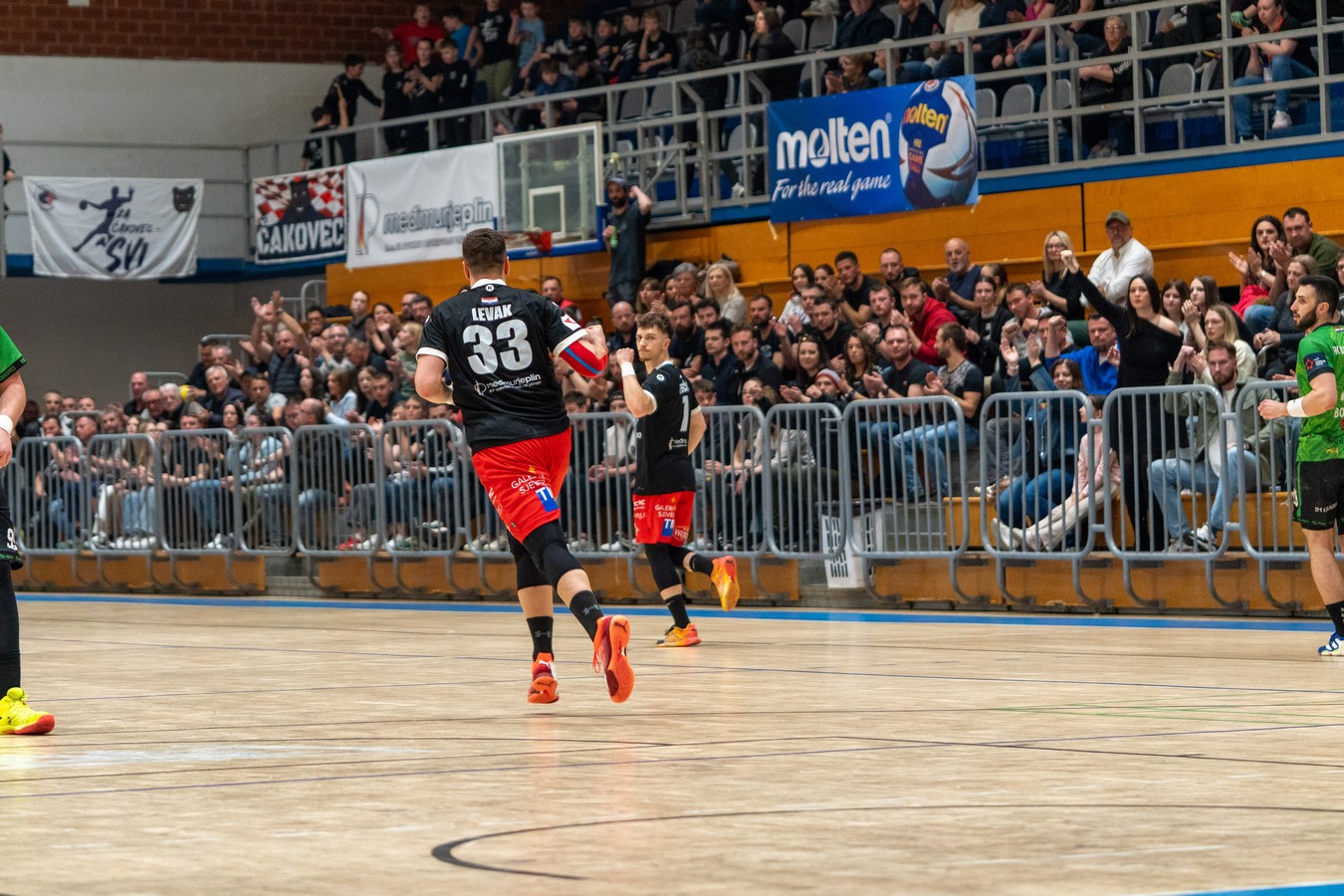 mrk čakovec , bijelin spačva (24) mrk čakovec , bijelin spačva (24)