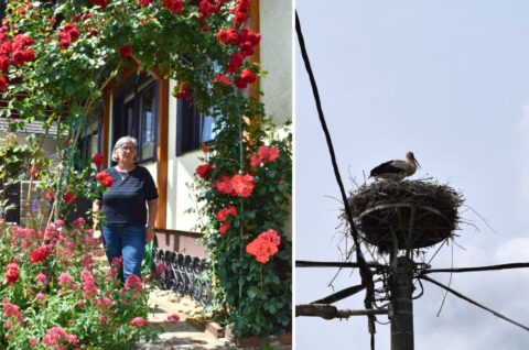 Ana Mađarić i rode u Murskom Središću