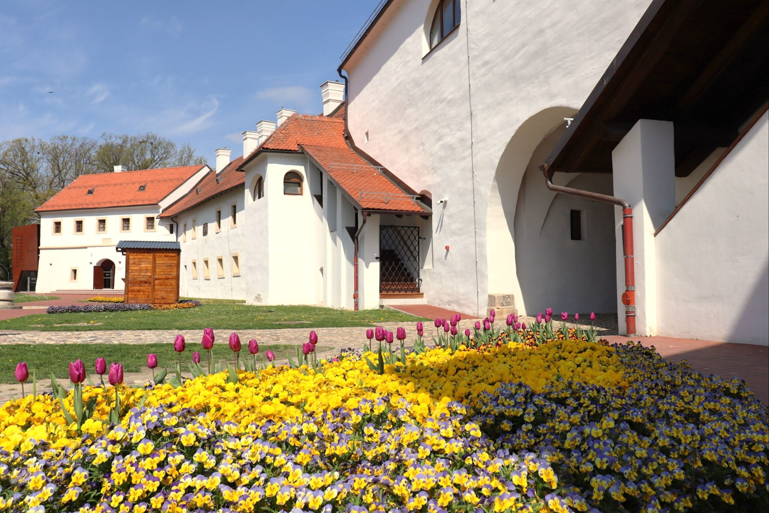 muzej međimurja čakovec (5)