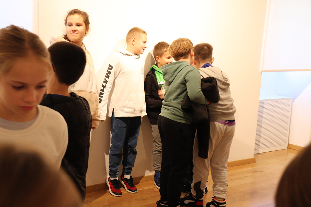 muzej međimurja,projekt europska baština (20)