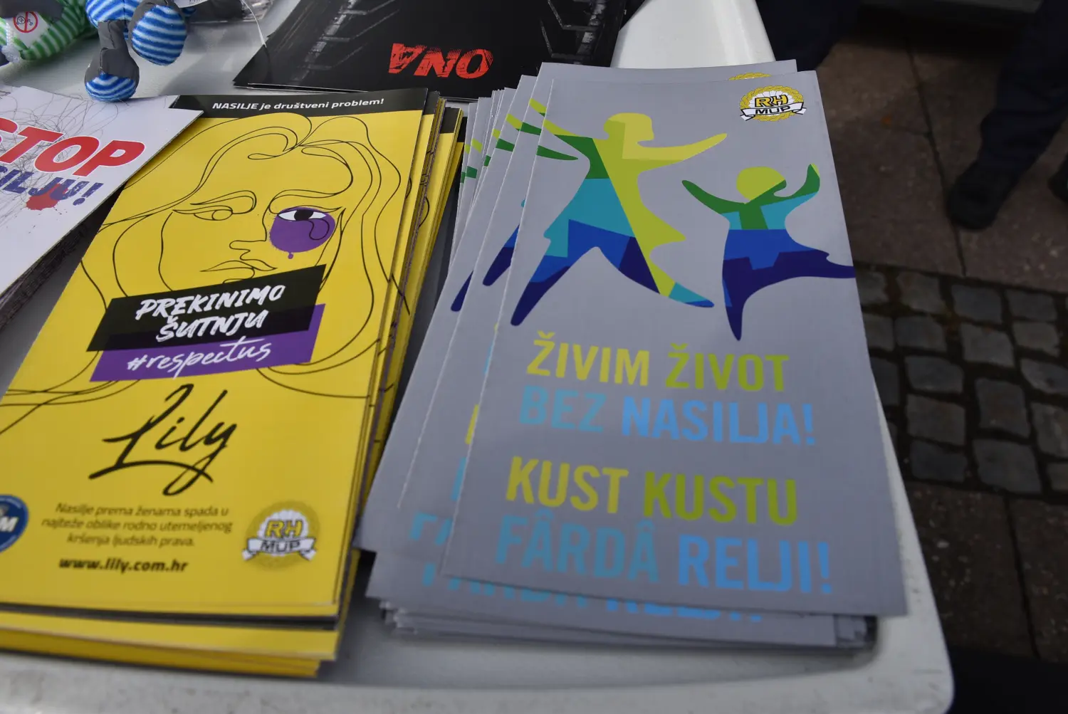 nacionalna borba protiv nasilja nad ženama (11)