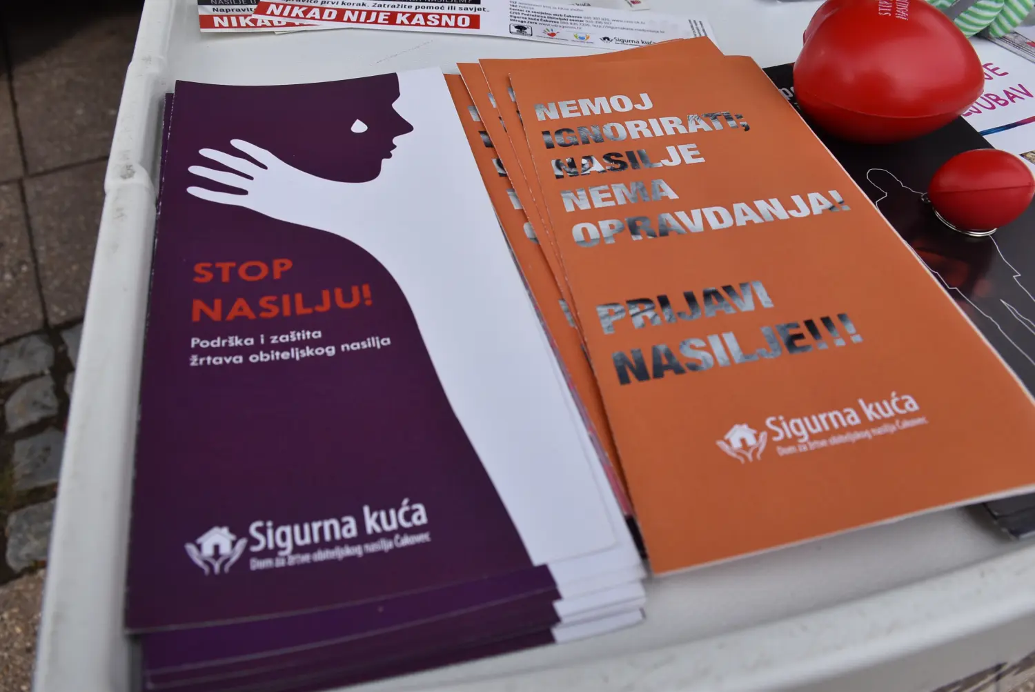 nacionalna borba protiv nasilja nad ženama (12)