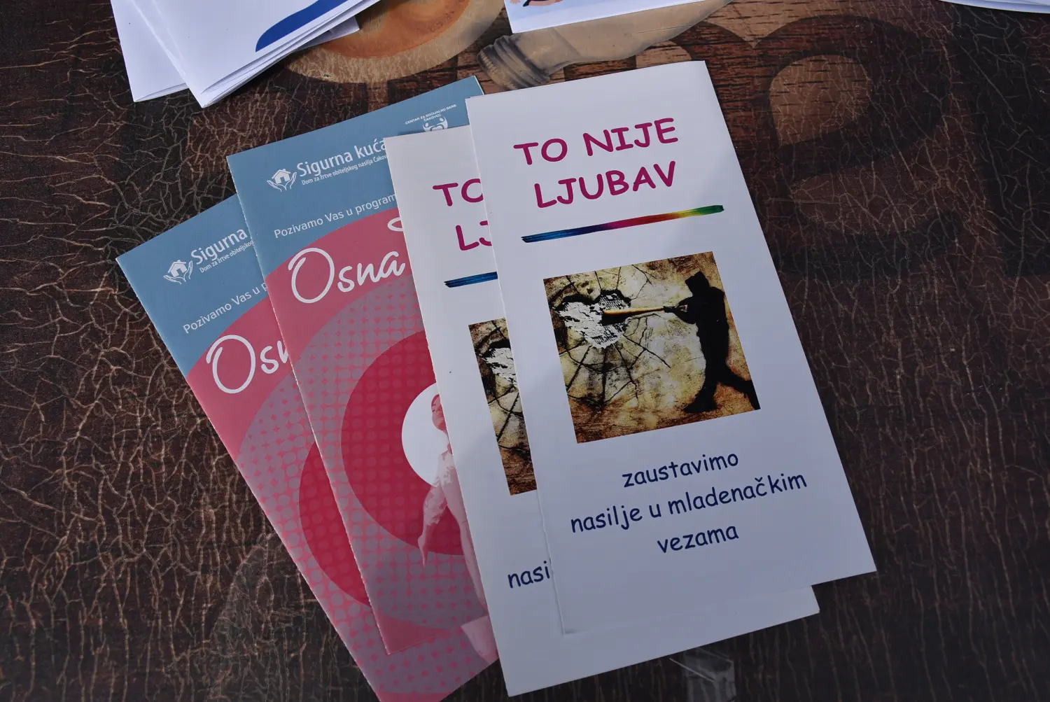 nacionalna borba protiv nasilja nad ženama (9)