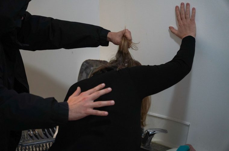 nasilje nad ženama tučnjava zlostavljanje čupanje kose ilustracija (3) nasilje nad ženama tučnjava zlostavljanje čupanje kose ilustracija (3)