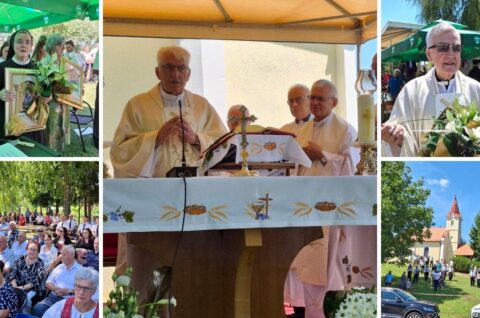 naslovna fotka zlatna misa strukovec