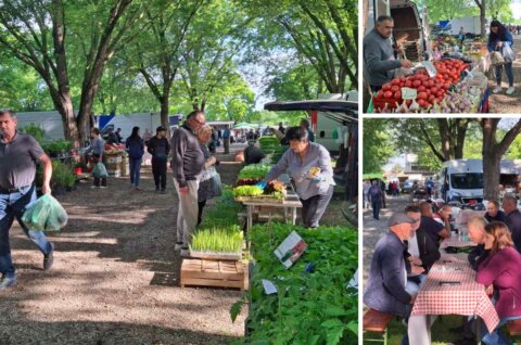 naslovnica sajam srijedom28052025.