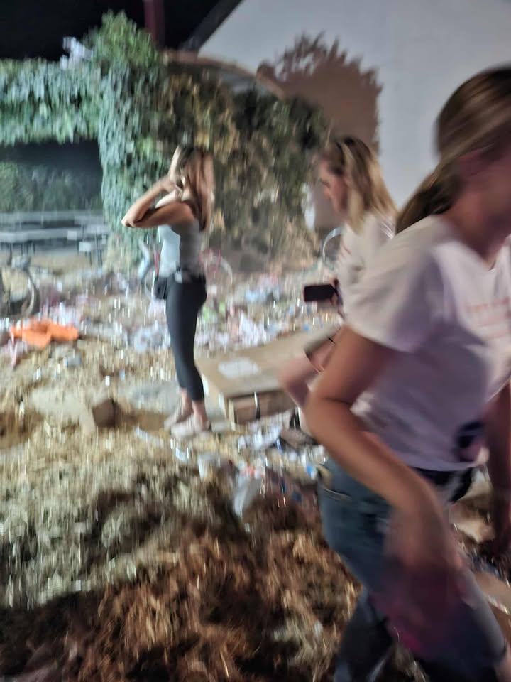 natepanje dora i luka (15) natepanje dora i luka (15)