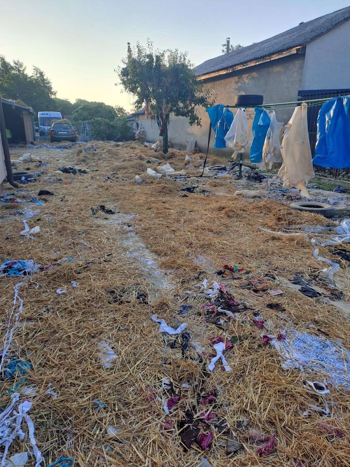 natepanje strahoninec (10) natepanje strahoninec (10)