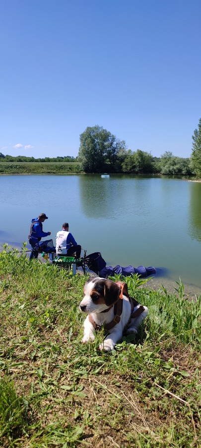 natjecanje ribolov,ssrdmz (41) natjecanje ribolov,ssrdmz (41)