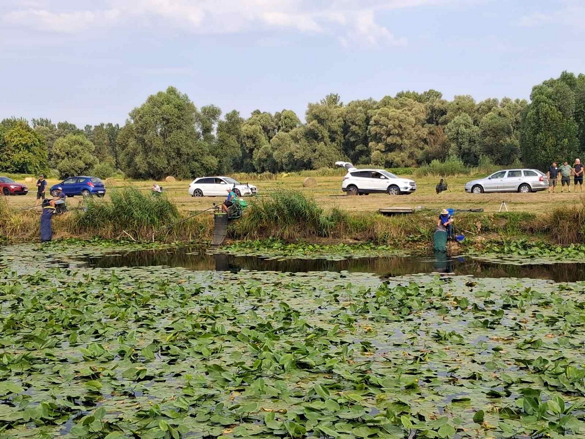 natjecanje, seniori ribolov (22)