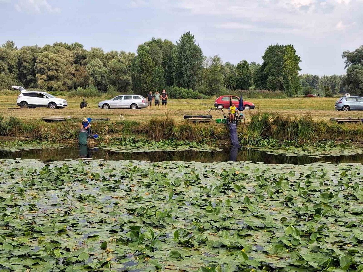 natjecanje, seniori ribolov (26)