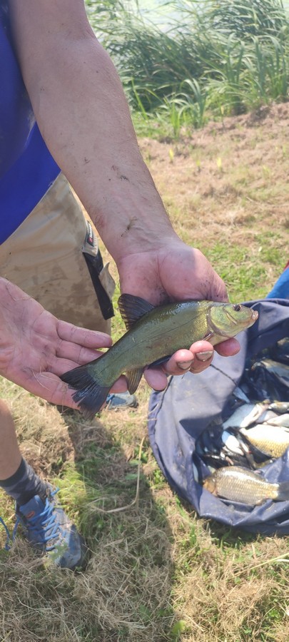 natjecanje, seniori ribolov (32)