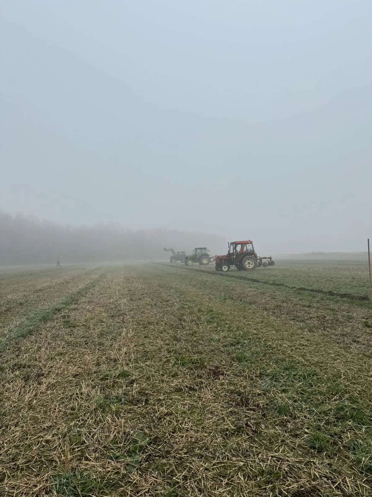 natjecanje u oranju 2024 (13) natjecanje u oranju 2024 (13)