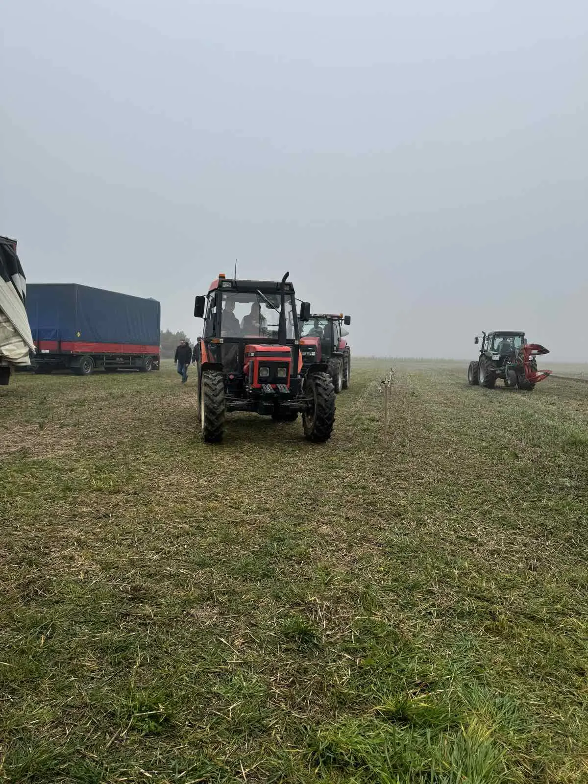 natjecanje u oranju 2024 (7) natjecanje u oranju 2024 (7)