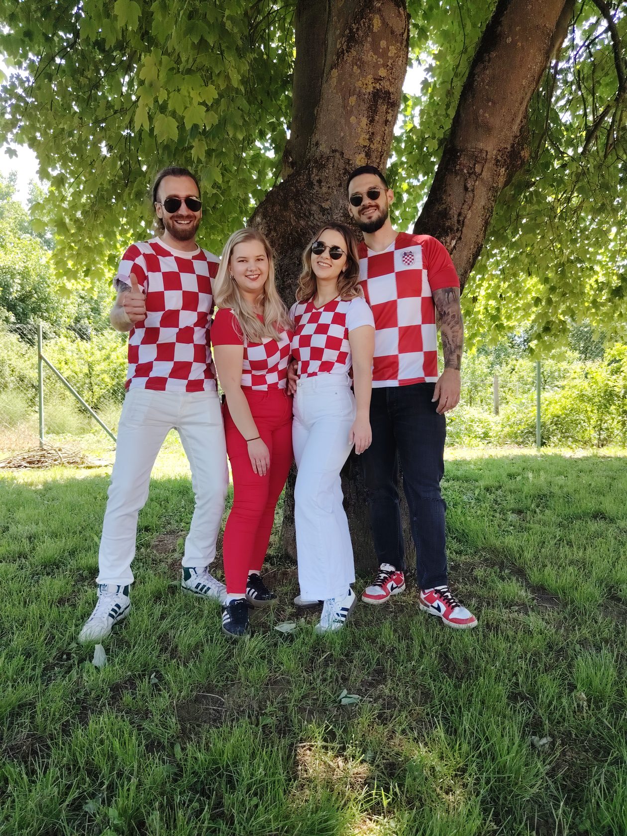 navijačka pjesma i videospot Svi smo Hrvatska (1)