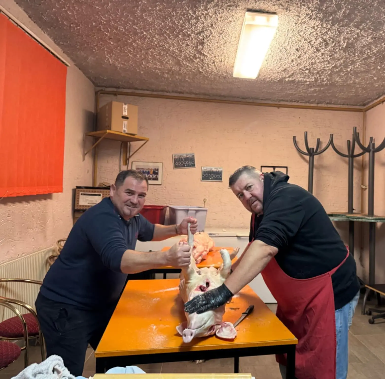 nk strahoninec odojak (1)