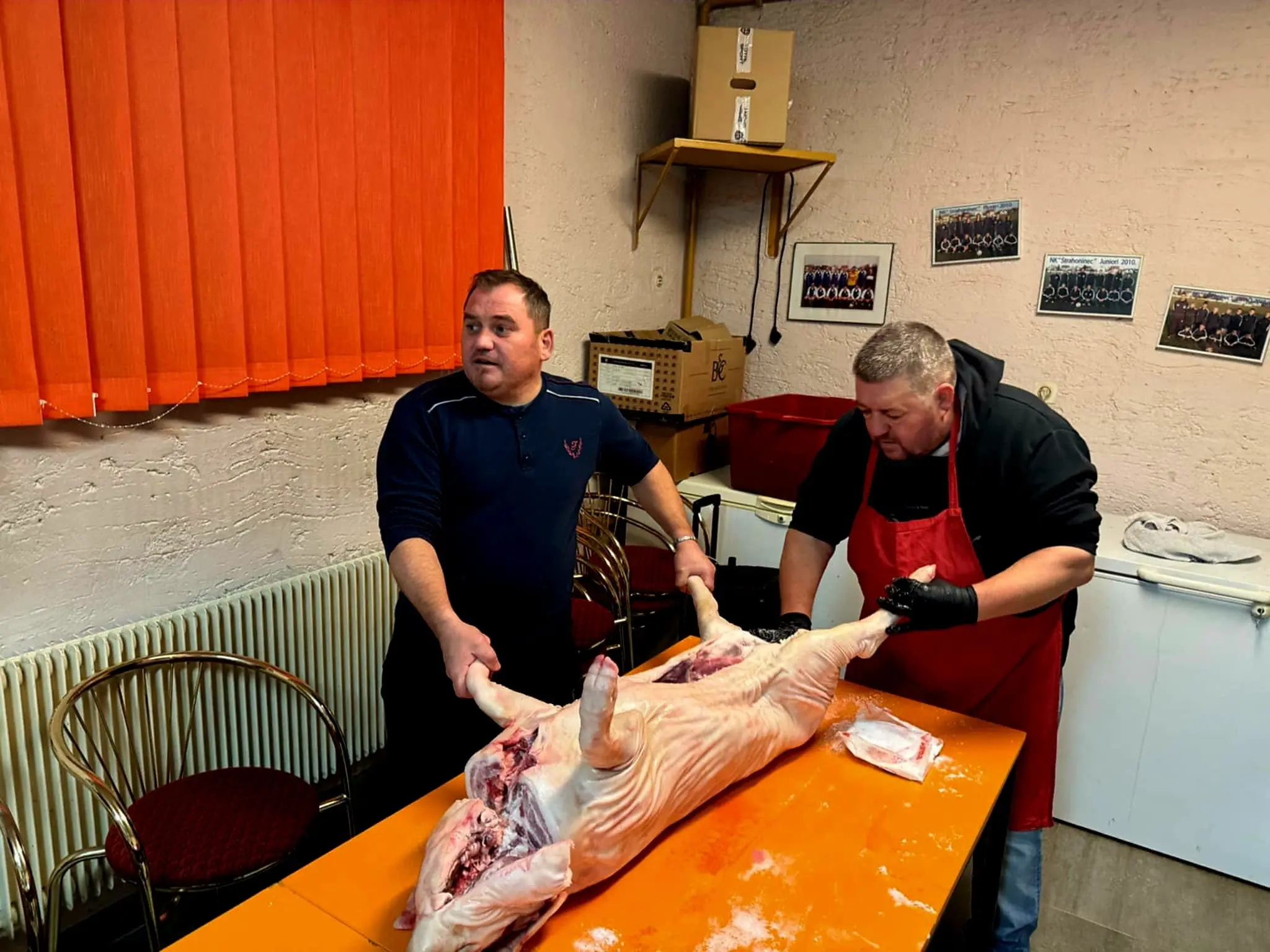 nk strahoninec odojak (10)