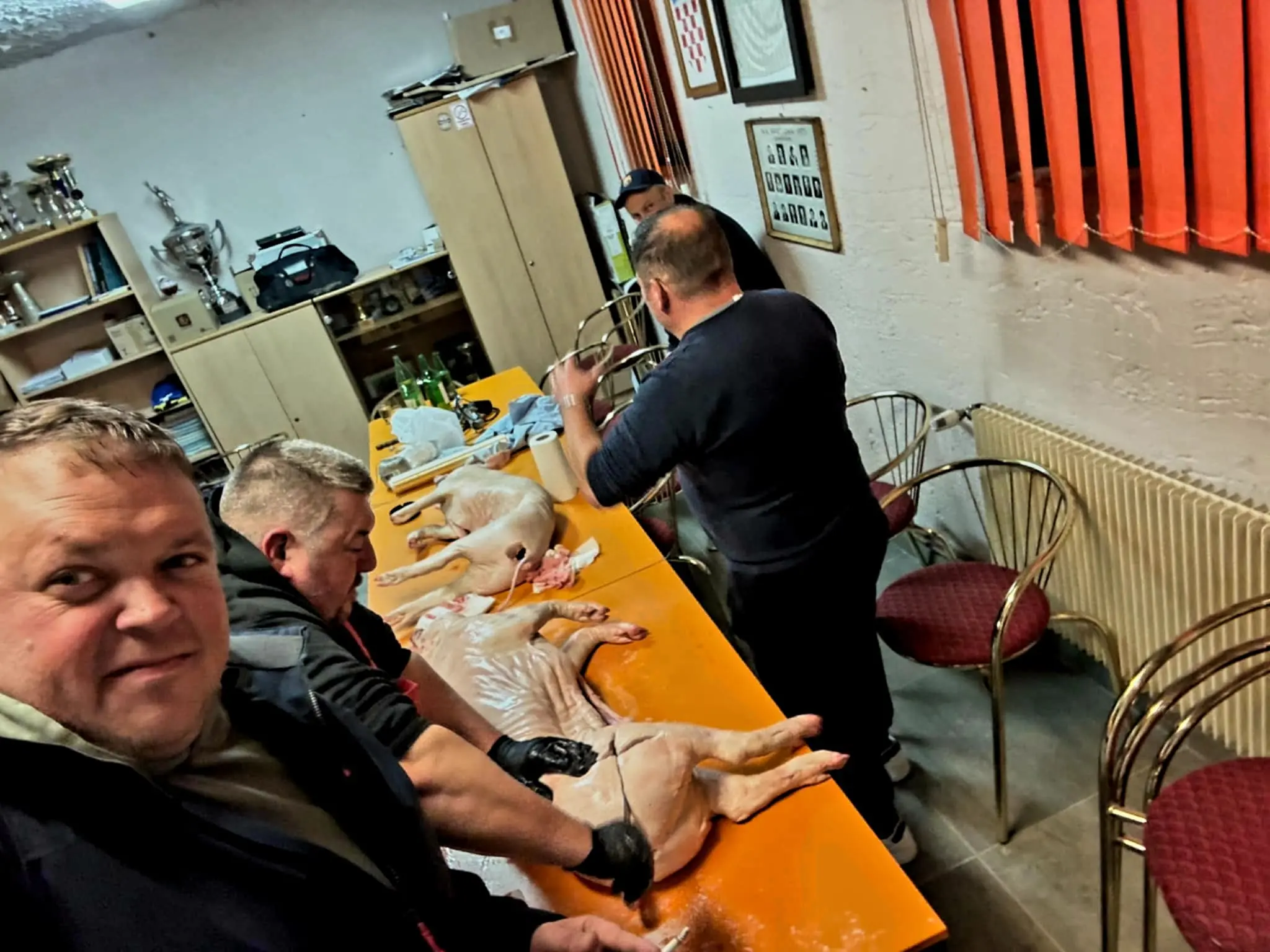 nk strahoninec odojak (9)