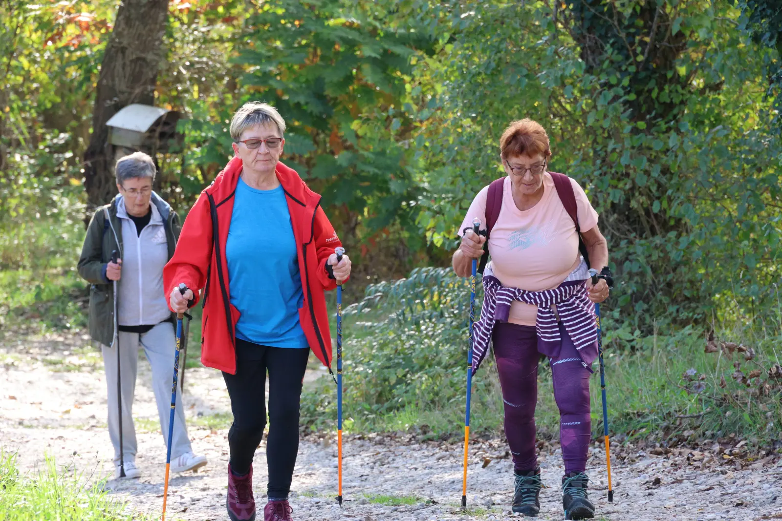 nordijsko hodanje prelog1 (40)