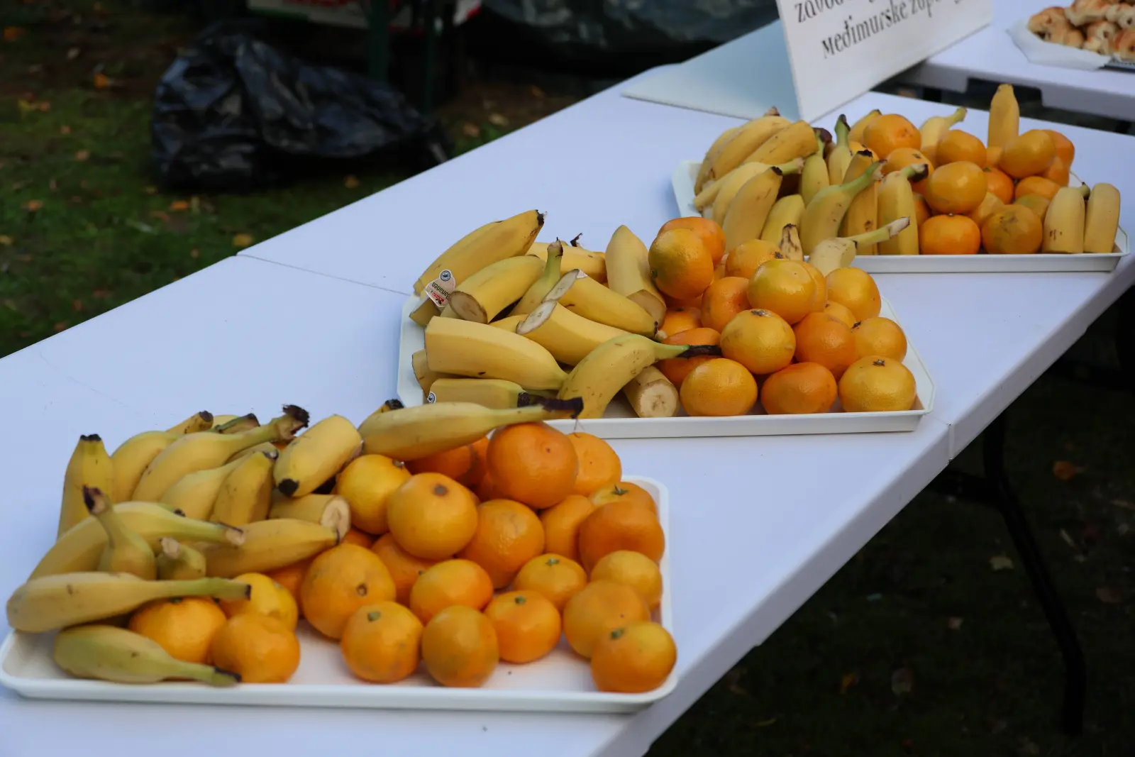 nordijsko hodanje prelog1 (44) voće