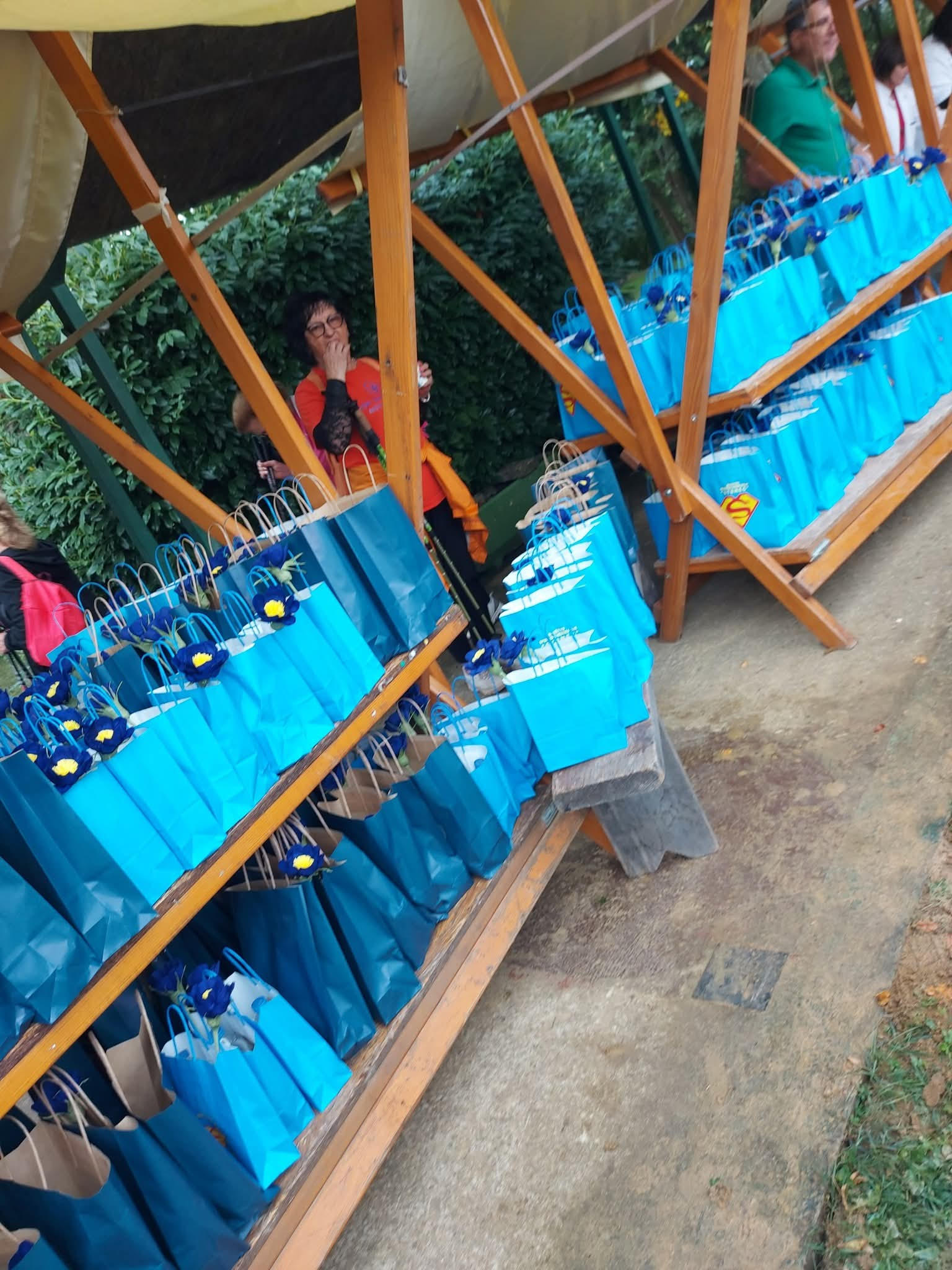 nordijsko hodanje12 nordijsko hodanje12