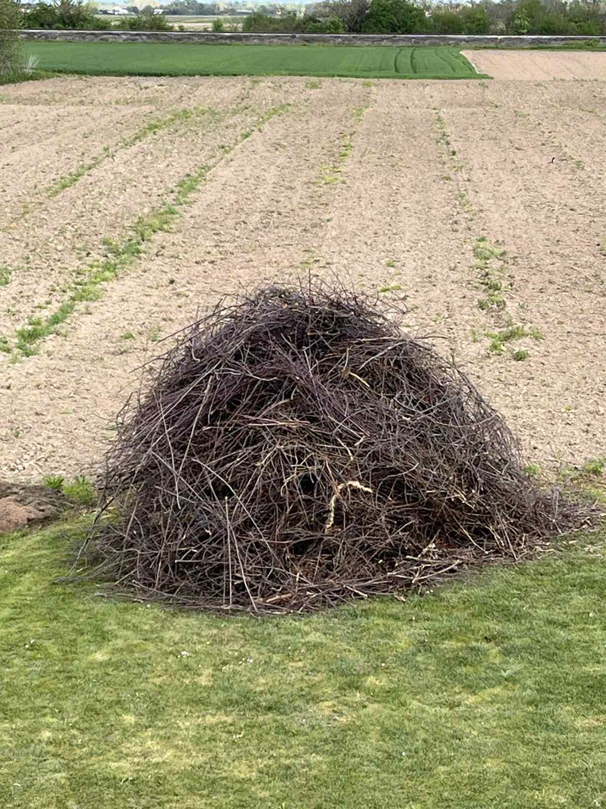 obitelj Kocijan vuzmenka (2) obitelj Kocijan vuzmenka (2)