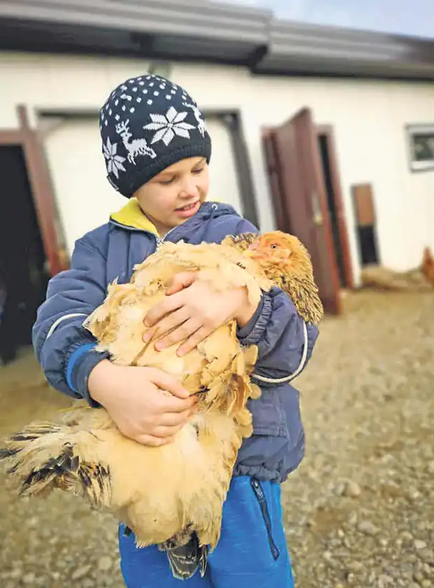 obitelj Martinjaš,nedelišće (1) obitelj Martinjaš,nedelišće (1)
