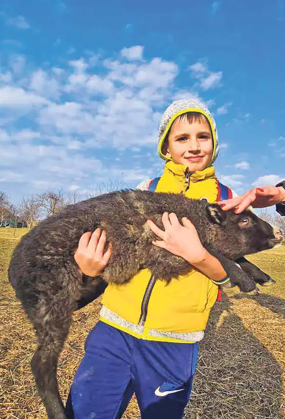 obitelj Martinjaš,nedelišće (2) obitelj Martinjaš,nedelišće (2)